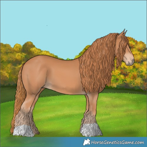 Horse Color:Chestnut 