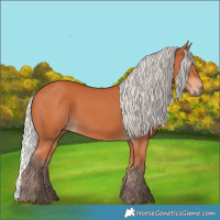 Horse Color:Silver Bay 