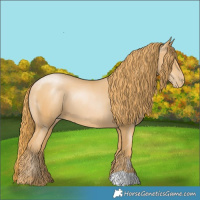 Horse Color:Chestnut Pearl