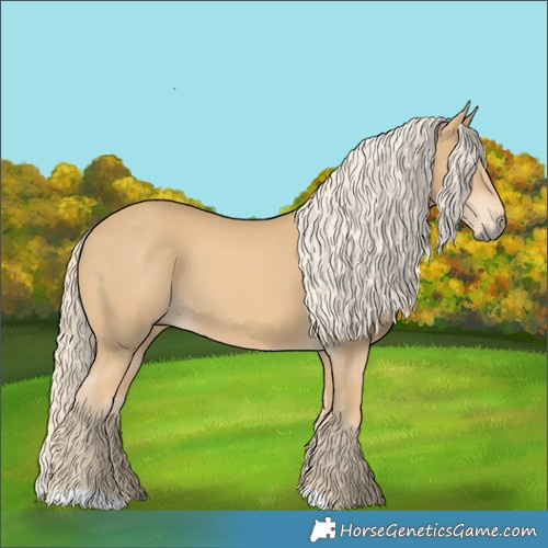 Horse Color:Chestnut Mushroom