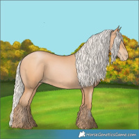 Horse Color:Silver Bay Pearl 