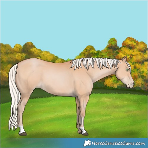 Horse Color:Silver Bay Pearl 