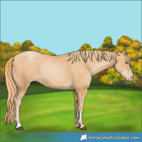 Horse Color:Chestnut Pearl 
