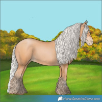 Horse Color:Silver Bay Pearl 