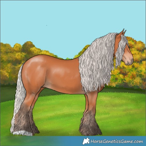 Horse Color:Silver Bay 