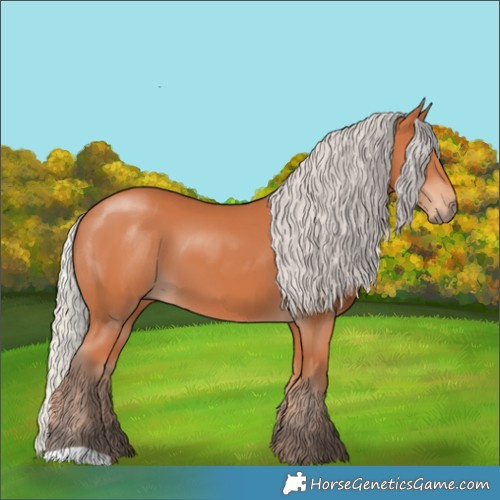 Horse Color:Silver Bay 