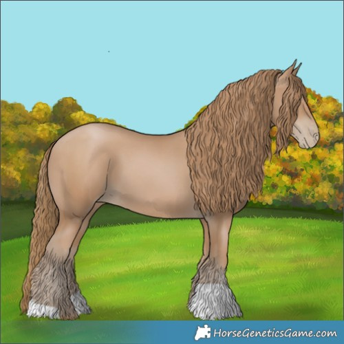 Horse Color:Black Pearl 