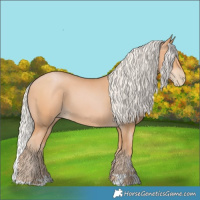 Horse Color:Silver Bay Pearl 