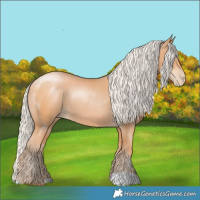 Horse Color:Silver Bay Pearl