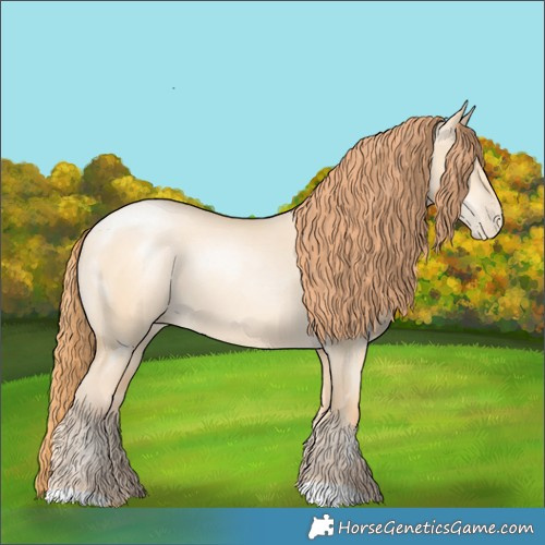 Horse Color:Amber Champagne Pearl Dun 