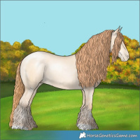 Horse Color:Amber Champagne Pearl Dun