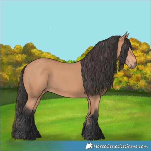 Horse Color:Bay Mushroom 