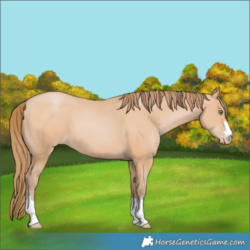 Horse Color:Bay Pearl Mushroom