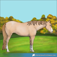 Horse Color:Bay Pearl Mushroom 