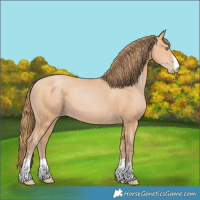 Horse Color:Bay Pearl Mushroom