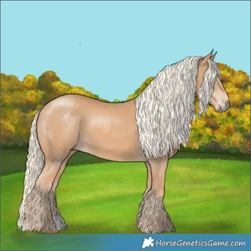 Horse Color:Chestnut Mushroom 
