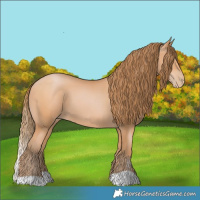 Horse Color:Bay Pearl 