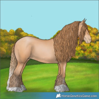 Horse Color:Bay Pearl 