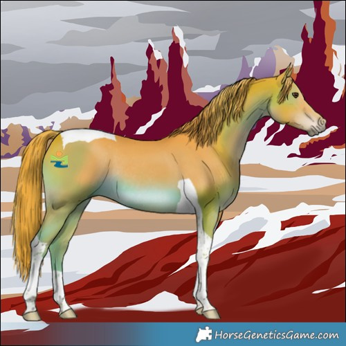 Horse Color:Watercolor Liver Chestnut Tobiano Rabicano 
