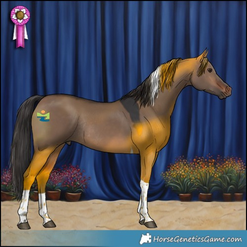 Horse Color:Brown Dun Tobiano Rabicano 