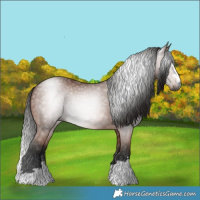 Horse Color:Gray Bay