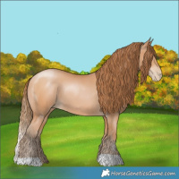 Horse Color:Bay Pearl 