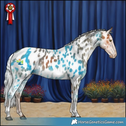 Horse Color:White Spotted Silver Bay Tobiano Appaloosa Rabicano 