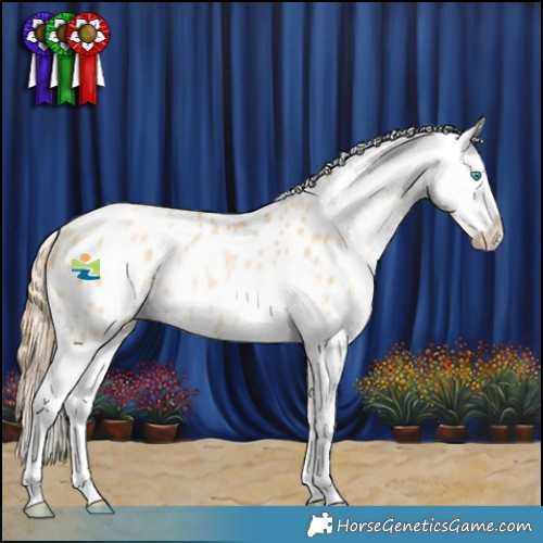 Horse Color:Buckskin Pearl Sabino Appaloosa Rabicano 