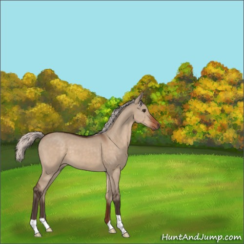 Horse Color:Silver Brown Dun 