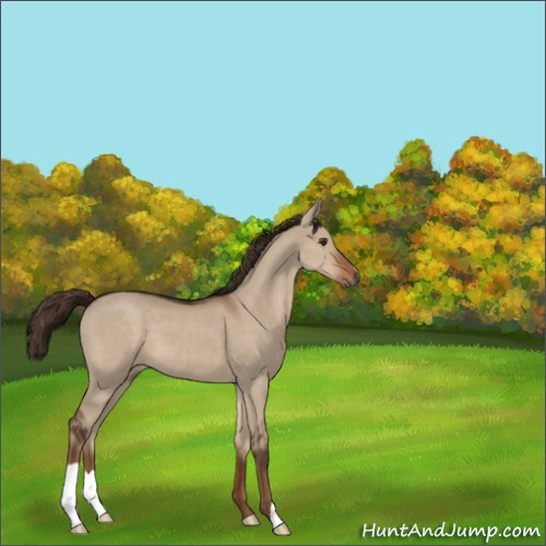 Horse Color:Liver Red Dun 