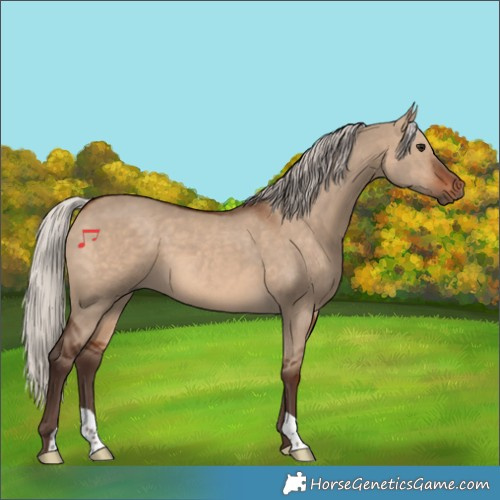 Horse Color:Silver Brown Dun 