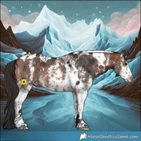 Horse Color:Brown Sabino Tobiano 