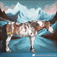 Horse Color:Brown Sabino Tobiano