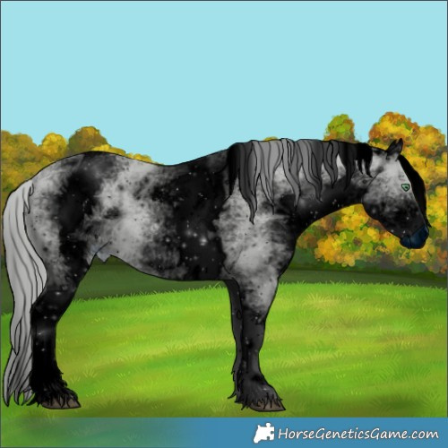 Horse Color:ERROR: UNKNOWN ANOMALY