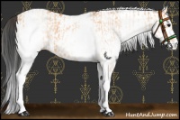 Horse Color:White Spotted Bay Dun Rabicano  and White Spotted Bay Dun 