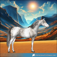 Horse Color:White Spotted Grullo Rabicano  and White Spotted Classic Champagne Dun Rabicano 