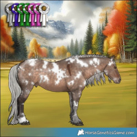 Horse Color:White Spotted Silver Brown Dun Mushroom 