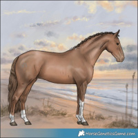 Horse Color:White Spotted Black Pearl Tobiano Rabicano 