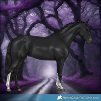 Horse Color:Gray White Spotted Brown Tobiano Varnish 