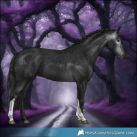 Horse Color:Gray White Spotted Brown Tobiano Varnish 