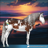 Horse Color:White Spotted Silver Brown Splash 