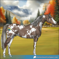 Horse Color:White Spotted Liver Red Dun Mushroom 