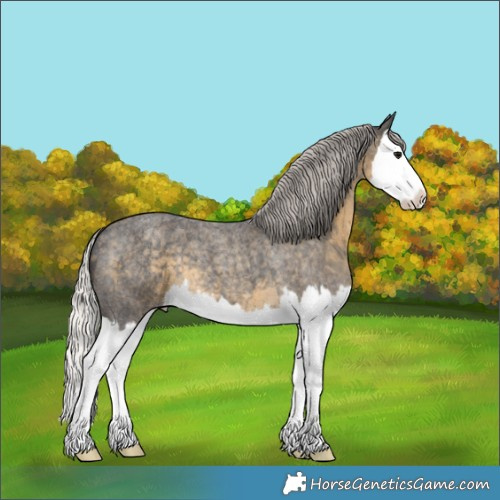 Horse Color:Silver Smoky Blue Roan Splash 