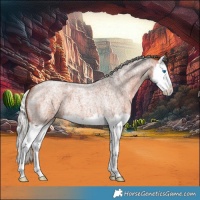 Horse Color:Silver Brown Roan Splash 
