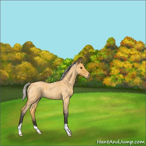 Horse Color:Silver Buckskin Roan 
