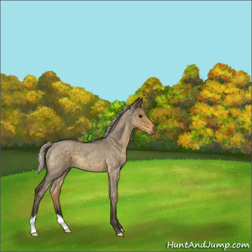 Horse Color:Silver Smoky Grullo Roan 