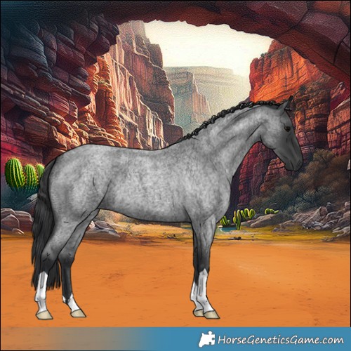 Horse Color:Blue Roan 