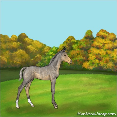 Horse Color:Silver Smoky Blue Ice Roan 