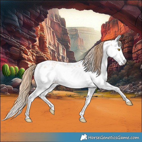 Horse Color:Bay Ice Roan Pearl Splash Appaloosa 