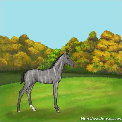 Horse Color:Smoky Blue Ice Roan 